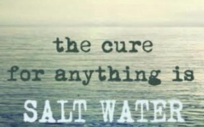 The importance of Water